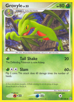 Grovyle Lv.23