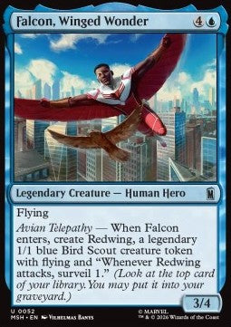 Falcon, Winged Wonder