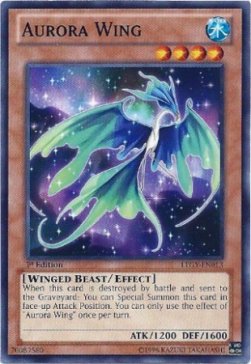 Aurora Wing