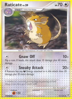 Raticate Lv.29