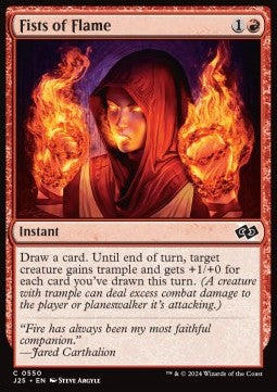 Fists of Flame