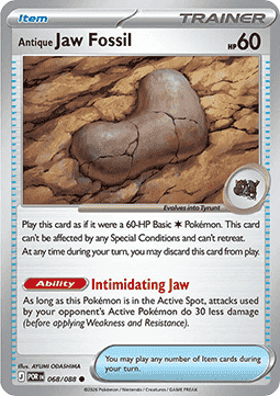 Antique Jaw Fossil