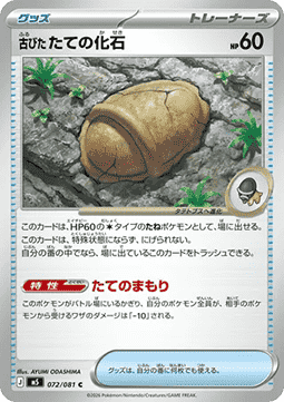 Antique Armor Fossil